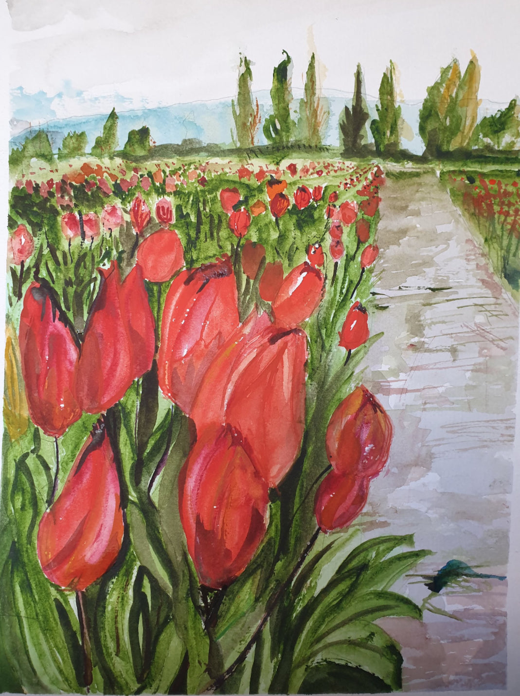 Tulip festival