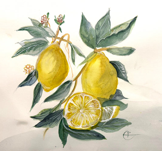 Lemon tree
