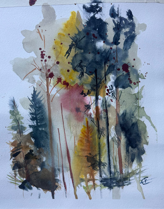 Forest walk